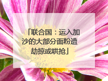 联合国：运入加沙的大部分面粉遭劫掠或哄抢