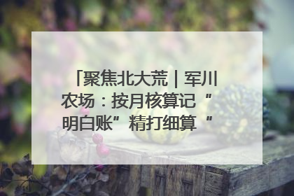 聚焦北大荒｜军川农场：按月核算记“明白账”精打细算“过紧日子”