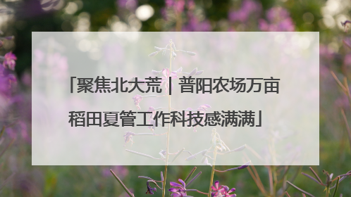 聚焦北大荒｜普阳农场万亩稻田夏管工作科技感满满