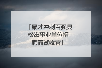 聚才冲刺百强县 松滋事业单位招聘面试收官