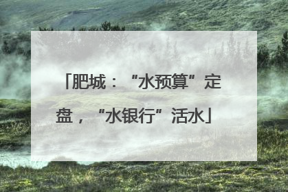 肥城：“水预算”定盘，“水银行”活水