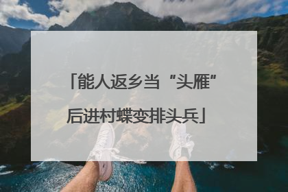 能人返乡当“头雁” 后进村蝶变排头兵