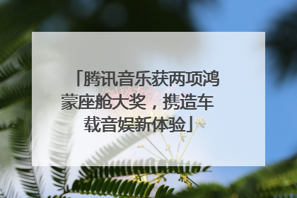 腾讯音乐获两项鸿蒙座舱大奖，携造车载音娱新体验
