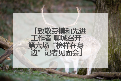 致敬劳模和先进工作者 聊城召开第六场“榜样在身边”记者见面会