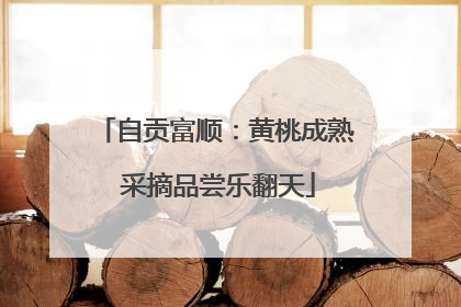 自贡富顺：黄桃成熟 采摘品尝乐翻天