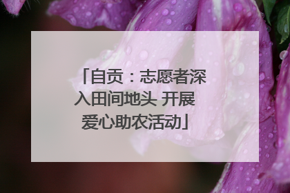 自贡：志愿者深入田间地头 开展爱心助农活动