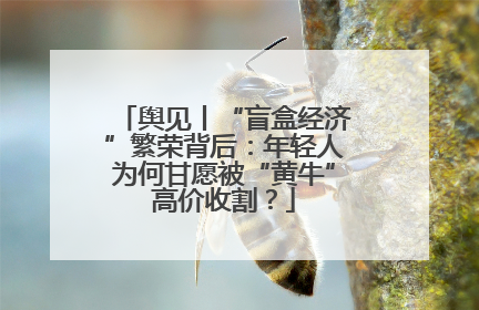 舆见丨“盲盒经济”繁荣背后：年轻人为何甘愿被“黄牛”高价收割？
