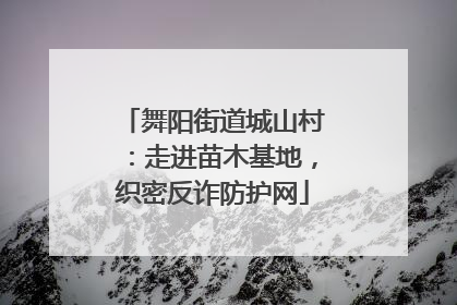 舞阳街道城山村：走进苗木基地，织密反诈防护网