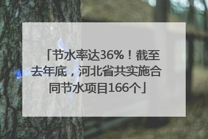 节水率达36%！截至去年底，河北省共实施合同节水项目166个
