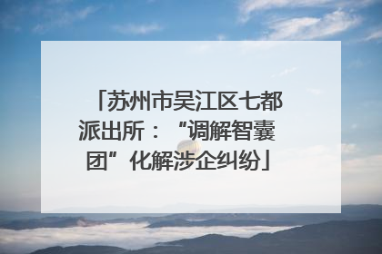 苏州市吴江区七都派出所：“调解智囊团”化解涉企纠纷