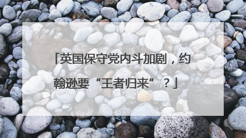 英国保守党内斗加剧，约翰逊要“王者归来”？