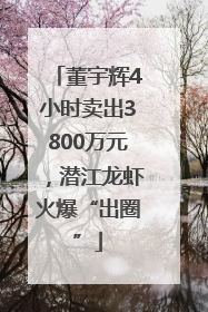 董宇辉4小时卖出3800万元，潜江龙虾火爆“出圈”