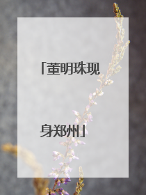 董明珠现身郑州