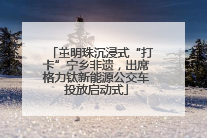 董明珠沉浸式“打卡”宁乡非遗，出席格力钛新能源公交车投放启动式