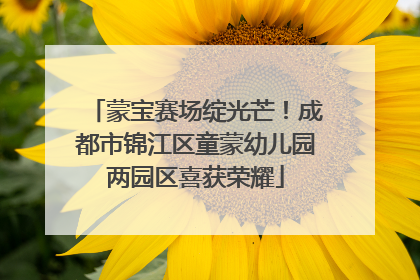 蒙宝赛场绽光芒!成都市锦江区童蒙幼儿园两园区喜获荣耀