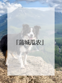 蒲城瓜农