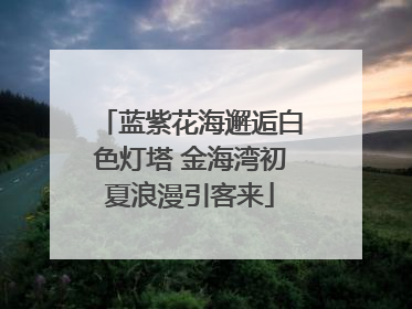 蓝紫花海邂逅白色灯塔 金海湾初夏浪漫引客来
