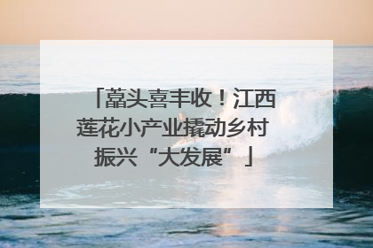 藠头喜丰收！江西莲花小产业撬动乡村振兴“大发展”