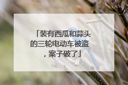 装有西瓜和蒜头的三轮电动车被盗，案子破了
