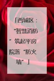 西城区：“智慧消防”筑起平房院落“防火墙”