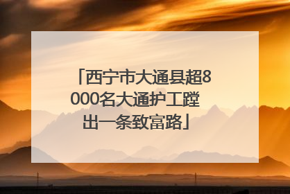 西宁市大通县超8000名大通护工蹚出一条致富路