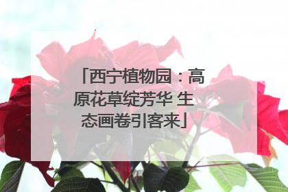 西宁植物园：高原花草绽芳华 生态画卷引客来