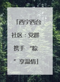 西宁西台社区：党群携手 “粽”享温情