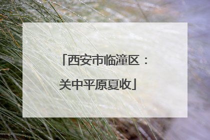 西安市临潼区：关中平原夏收