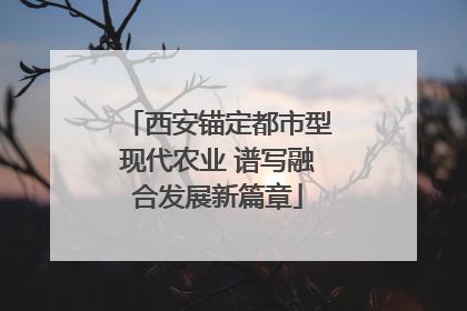 西安锚定都市型现代农业 谱写融合发展新篇章