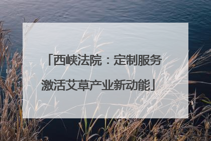 西峡法院：定制服务激活艾草产业新动能
