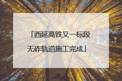 西延高铁又一标段无砟轨道施工完成