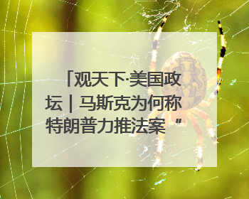 观天下·美国政坛｜马斯克为何称特朗普力推法案“令人作呕”