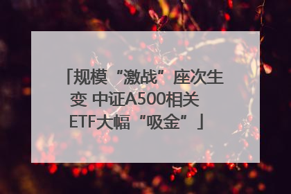 规模“激战”座次生变 中证A500相关ETF大幅“吸金”
