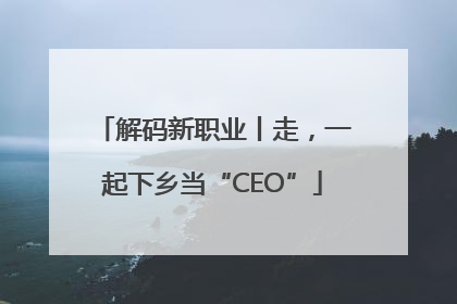 解码新职业丨走，一起下乡当“CEO”