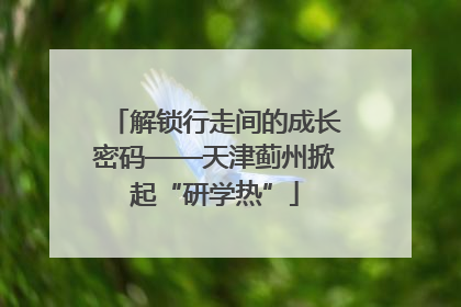 解锁行走间的成长密码——天津蓟州掀起“研学热”
