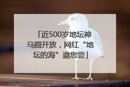 近500岁地坛神马圈开放，网红“地坛的海”邀您尝