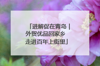 进解促在青岛｜外贸优品回家乡 走进百年上街里