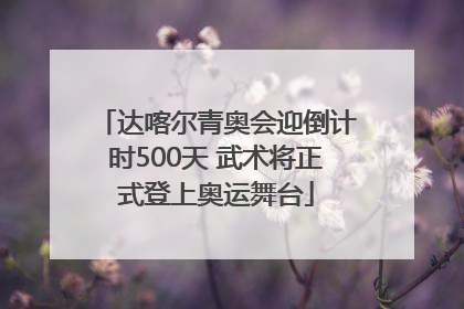 达喀尔青奥会迎倒计时500天 武术将正式登上奥运舞台