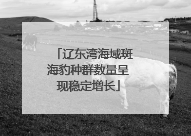 辽东湾海域斑海豹种群数量呈现稳定增长