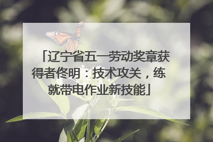 辽宁省五一劳动奖章获得者佟明：技术攻关，练就带电作业新技能