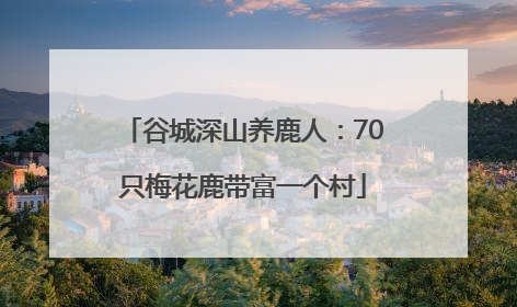 谷城深山养鹿人：70只梅花鹿带富一个村