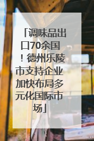 调味品出口70余国！德州乐陵市支持企业加快布局多元化国际市场