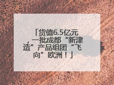 货值6.5亿元，一批成都“新津造”产品组团“飞向”欧洲！