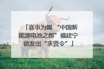 赛事为媒 “中国新能源电池之都”福建宁德发出“求贤令”