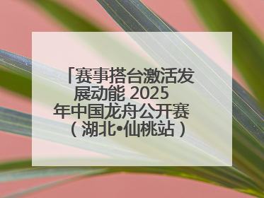 赛事搭台激活发展动能 2025年中国龙舟公开赛（湖北•仙桃站）燃情开赛