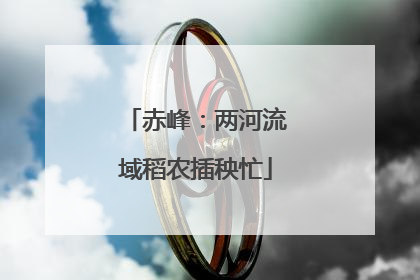 赤峰：两河流域稻农插秧忙