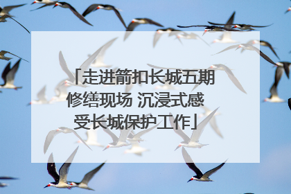 走进箭扣长城五期修缮现场 沉浸式感受长城保护工作