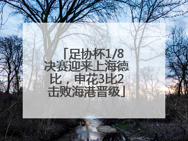足协杯1/8决赛迎来上海德比，申花3比2击败海港晋级