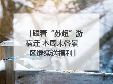 跟着“苏超”游宿迁 本周末各景区继续送福利