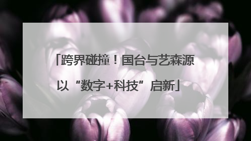 跨界碰撞！国台与艺森源以“数字+科技”启新